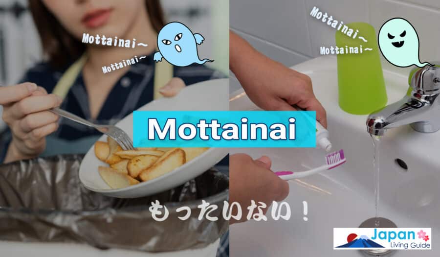 Image of a person throwing fried potatoes to garbage and another one holding a tooth brush plus toothpaste while the water runs from the water faucet.  In the of the picture is written: Mottainai